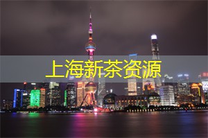 爱上海官网：视觉盛宴：在上海的展览动态